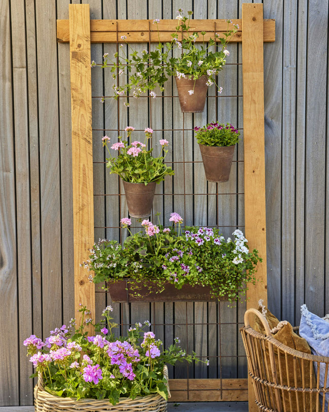 Jardín vertical hermoso con plantas verdes